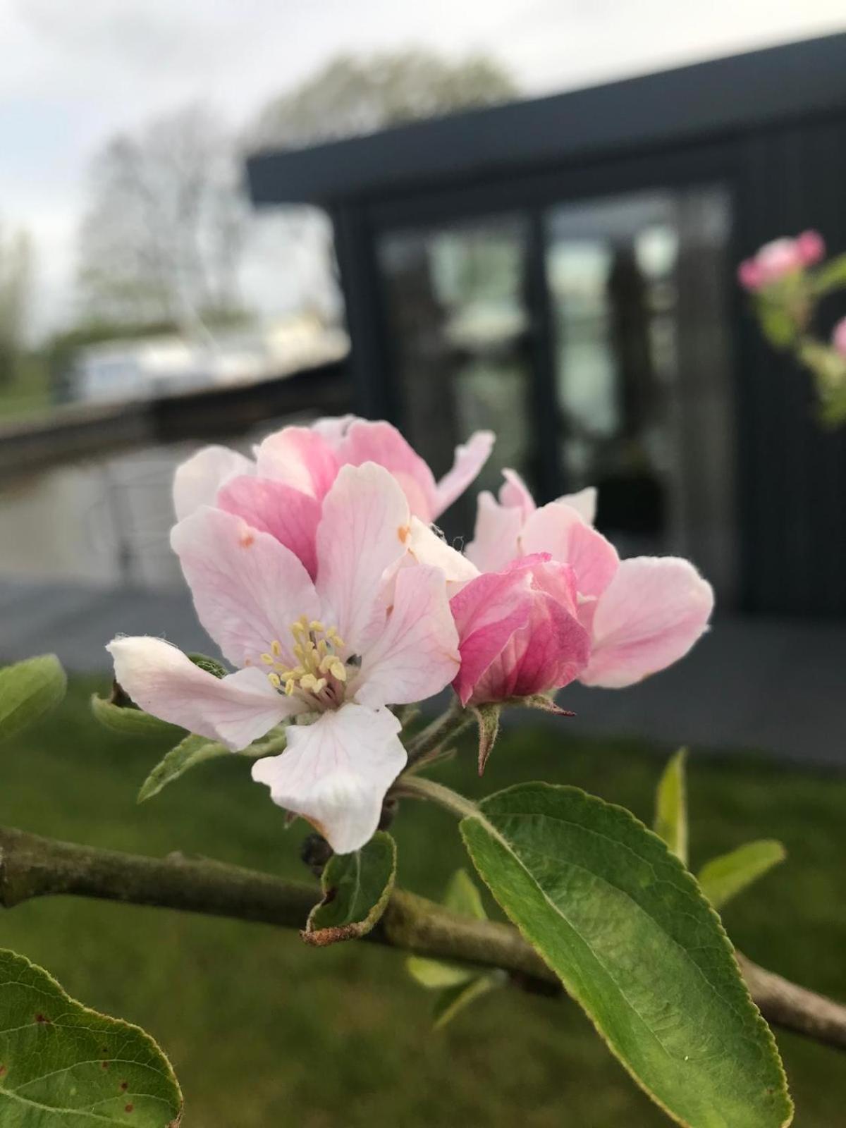 Uniek Overnachten In Een Tiny House Op De Appelhof Wommels Экстерьер фото